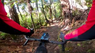 Waikato River Trail on Gravel bike