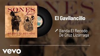 Banda El Recodo De Cruz Lizárraga - El Gavilancillo (Audio)