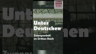 Zwangsarbeit im NS-Staat: Vergessenes Trauma #nationalsozialismus #zweiterweltkrieg #zwangsarbeit