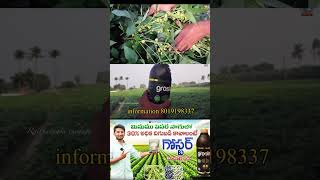 అన్ని రకాల పంటలకు అన్ని రకాల పోషకాలు గొస్టర్ agriculture crops growth promoter #viral #farming