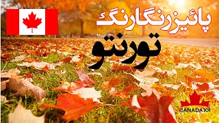 زیبایی های پاییز تورنتو و تفاوتش با جاهای دیگه