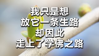 【妙音有声】我只是想放它一条生路，却因此走上了学佛之路