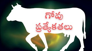 గోవు ప్రత్యేకతలు Govu pratyekathalu