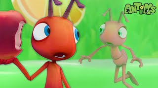 Food Fights Back: The Great Jelly Escape! | Antiks 🐜 | Funny Cartoons for Kids