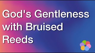 God's Gentleness with Bruised Reeds - iBelieve Christian Devotional for Women