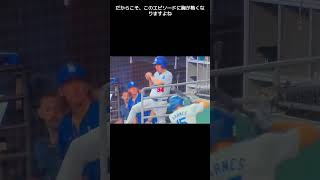 【MLB 海外の反応】大谷翔平を守った男：ファウルボールからの救出劇の瞬間！？     #shorts #shoheiohtani #dodgers