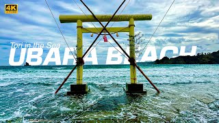 [4K] Ubara Beach – A White Torii and Waters as Clear as Okinawa's!