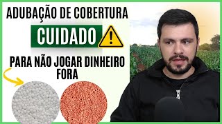 4 Cuidados fundamentais da ADUBAÇÃO DE COBERTURA