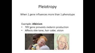 Complex Inheritance Patterns