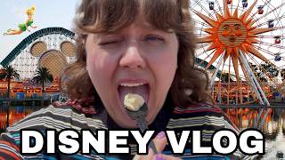 We Went to Disney as Non-Disney Adults
