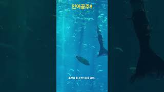 베트남 인어공주