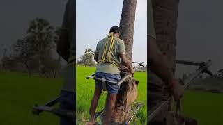 Advance Mission   Palm Tree Climbing Machine  Farmer Cheemala Lingaswamy  Shaligauram Galoni Goodem