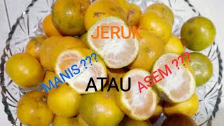 Cara Mengetahui Jeruk Manis Atau Asam (How to Find Sweet Orange or Not Sweet)