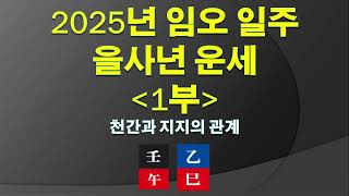 2025년 임오 일주 을사년 운세 1부