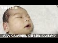 【新生児】生後17日目赤ちゃんと新米パパのリアルな1日 japanese newborn baby new dad