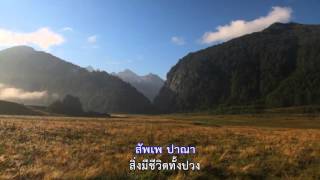 บทแผ่เมตตาอัปปมัญญา ชาย [Official]