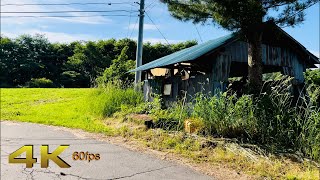 [4K] karuizawa, Gunma | Early morning summer walk in rural Japan. #asmr #gunma #karuizawa