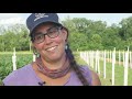 memorial 4h camp demonstration farm agroforestry alley cropping