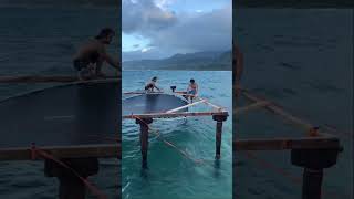 Day 3 of building a trampoline in the middle of the ocean!👀#shorts