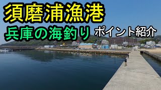 【海釣り】兵庫の須磨浦漁港の釣り場。須磨駅から徒歩5分とアクセスが良い釣り場です。釣りに行く前の情報にお勧めです。