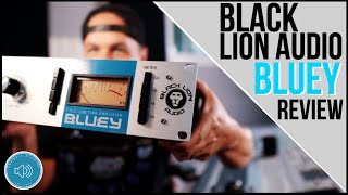 Black Lion Audio Bluey | Review