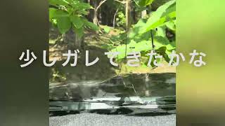 2024/8/3    ジムニーで栃木県鹿沼市の林道探索。jb23＆jb64