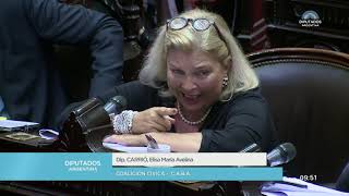 Diputada Carrió Elisa María Avelina - Sesión 19-12-2019 - CP