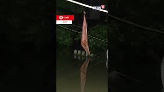 Delhi Rain |  Floods Plague Areas Around Yamuna Bridge In Delhi | Yamuna River Flood #shorts