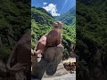 虎跳峡vlog 中国十大经典徒步路线之虎跳峡。当山川湖海不只是在教科书上 而在我脚下中国山河自不寻常不寻常的国货冲锋衣美特斯邦威华夏之壳美邦不寻常户外俱乐部美特斯邦威冲锋衣