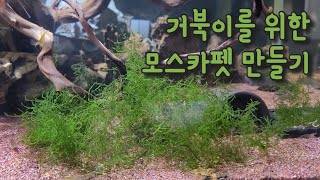 모스카펫으로 풍성한 모스 만들기 | 거북이어항 모스로 꾸미기 | 미모파파