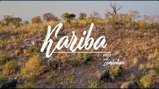 The incredible colours of Kariba, Zimbabwe 2022 - At its finest !