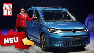 VW Caddy (2020): Neuvorstellung - Hochdachkombi - Info