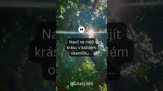 Nauč se najít krásu v každém okamžiku...  #citat #moudro #laska #zivot #viral