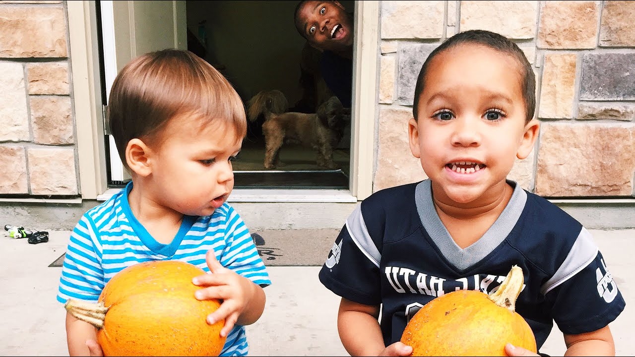 Picking Pumpkins Youtube