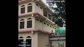 ইতিহাস ঐতিহ্য ।মোঘল আমলের শাহী জামে মসজিদ ও মাজার শরীফ।