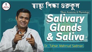 লালা এবং লালাগ্রন্থি [Saliva \u0026 Salivary glands] বেসিক এনাটমি এন্ড ফিজিওলজি | গুরুকুল