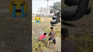 এরা দুই ভাইকে সাপে হা'মলা করলো তাঁর পর....😭🙏😱 #snake #attack #help #me #shorts