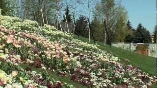 LandesGartenSchau Löbau 2012 - Staunen, Entdecken und Erfahren in der Oberlausitz - Sachsen