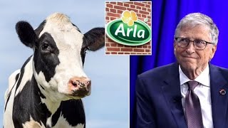 Boycott Threats Over Arla Foods' Methane-Reducing Additive!