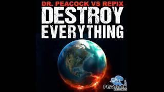 Dr. Peacock vs Repix - Junky Imbecile