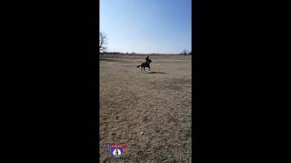 Horse Riding with Music 1