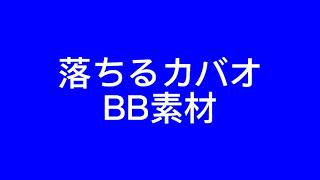 【BB素材】落ちるカバオくんBB素材