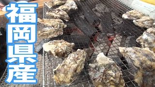 一度食べたら病みつき【福岡県産】唐泊恵美須牡蠣小屋 Oyster hut