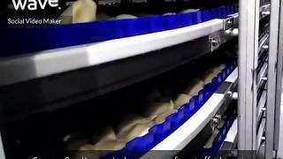 Cooling spiral conveyor for fresh precooked stuffed pasta Sarp