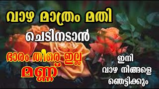 ഇനി ഗ്രോബാഗ് നിറക്കാൻ മണ്ണും വളവും വെള്ളവും വേണ്ട ഈ കളയുന്നത് മാത്രം മതി/ വാഴ പോള ചെടി വളരാൻ/poppy