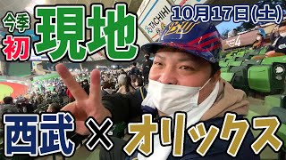 【 現地観戦 】オリの晩酌今季初現地！極寒のメットライフドームに行ってきました！【 10月17日 西武×オリックス戦 】