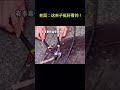 搞笑动物系列第36集 老鼠：这夹子挺好看的！ #搞笑 #animals #funny #搞笑 #pets #萌宠 #萌宠 #cute #cat #宠物 #chat #科普 #宠物 #科普