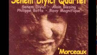 Senem Diyici Quartet - Dolama Dolamayı