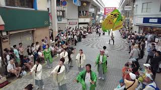 ぬまづ熱風舞人　2024高知よさこい全国大会 帯屋町筋