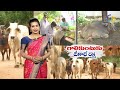 14th february 2023 annadata అన్నదాత full episode etv telugu